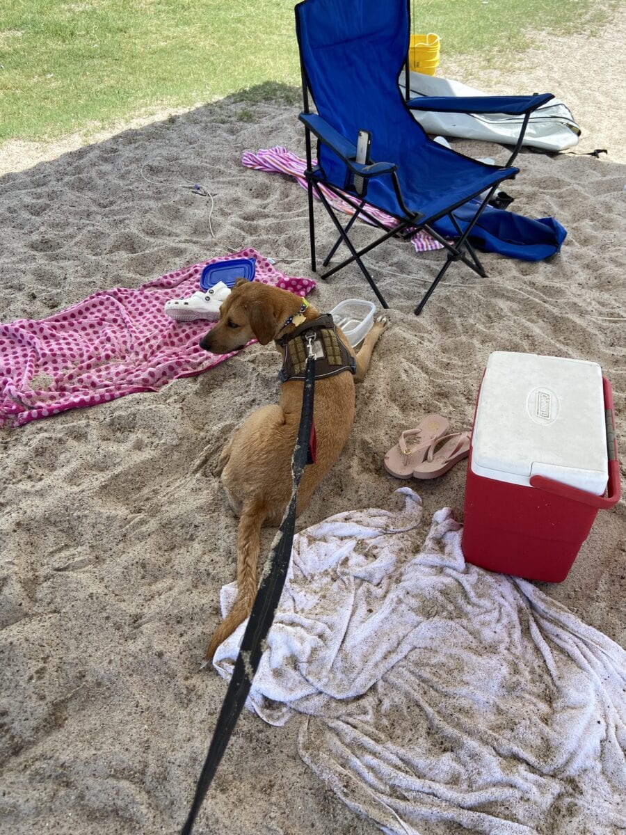 At the beach